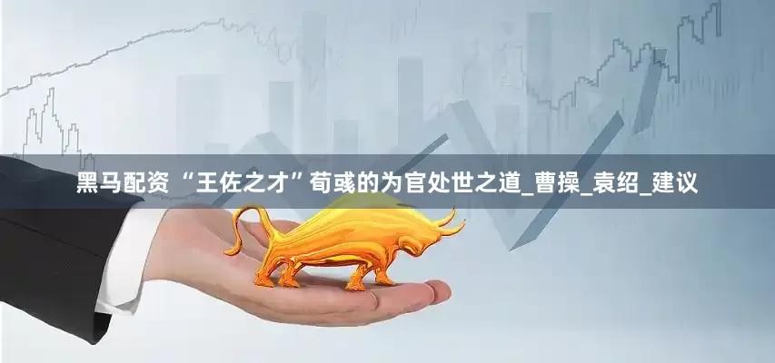 黑马配资 “王佐之才”荀彧的为官处世之道_曹操_袁绍_建议